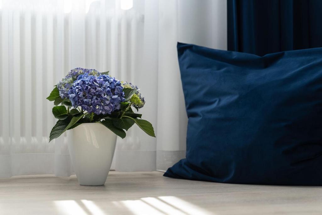 Vip Apart Center Baden-Baden Dış mekan fotoğraf